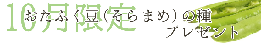 10月限定 おたふく豆の種プレゼント