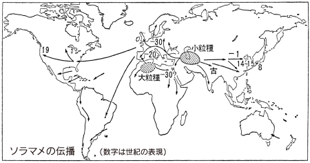 そらまめの伝播図